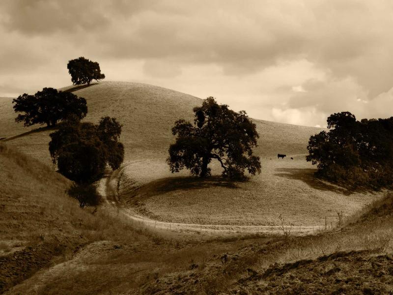 sudoku commute game screenshot 6